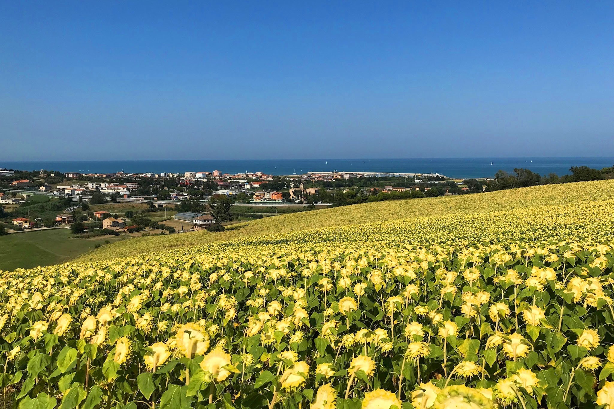 Agricampeggio Abbruzzetti