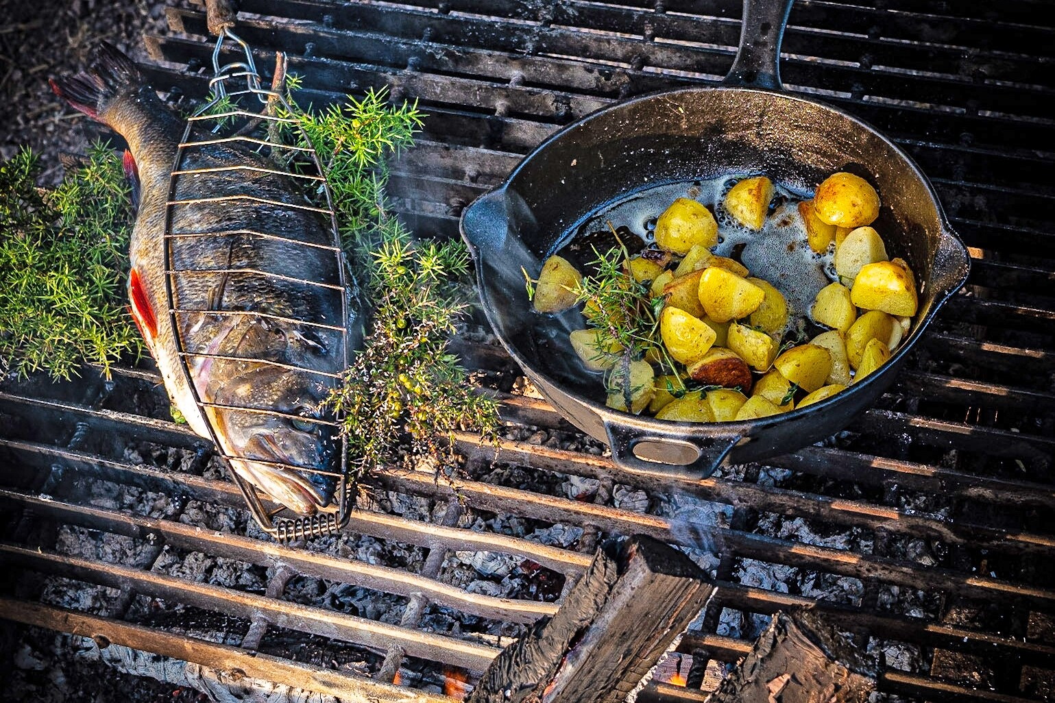 Camping Björsbo Forest & Lake Hideaways