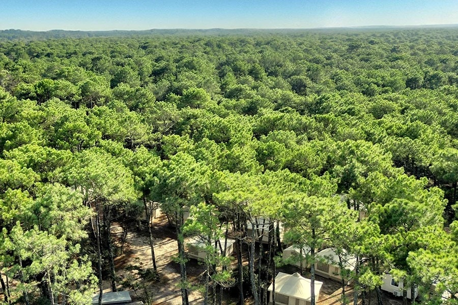 Domaine de Fierbois