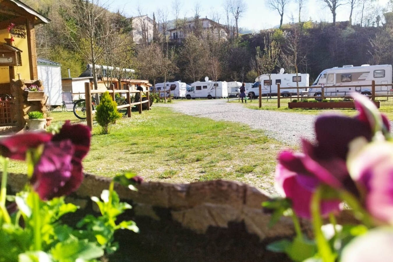 Camping Il Cinisco
