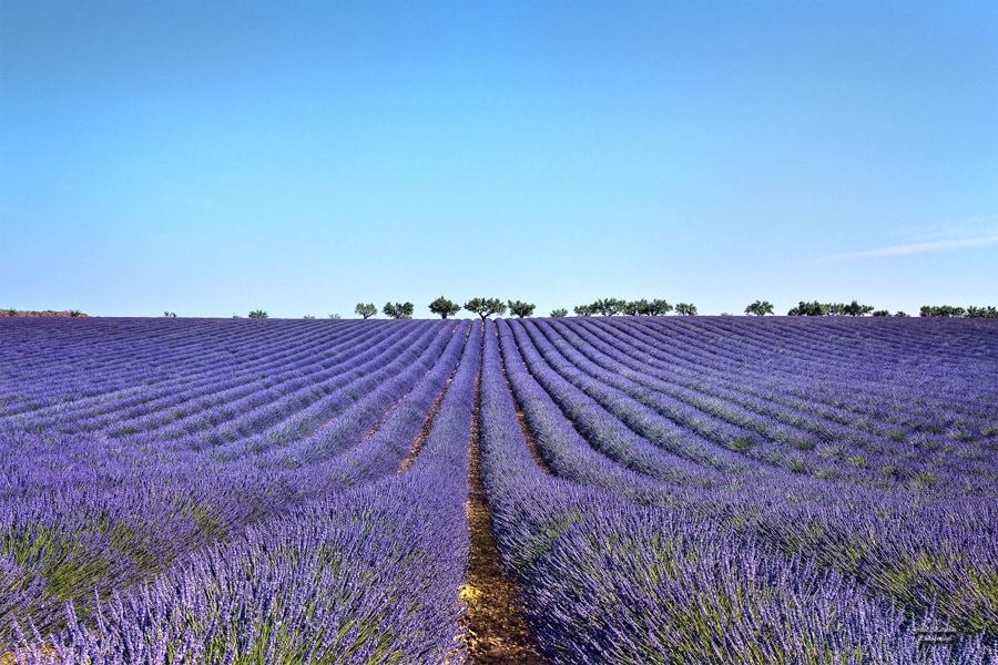 Flower Camping Provence Vallée