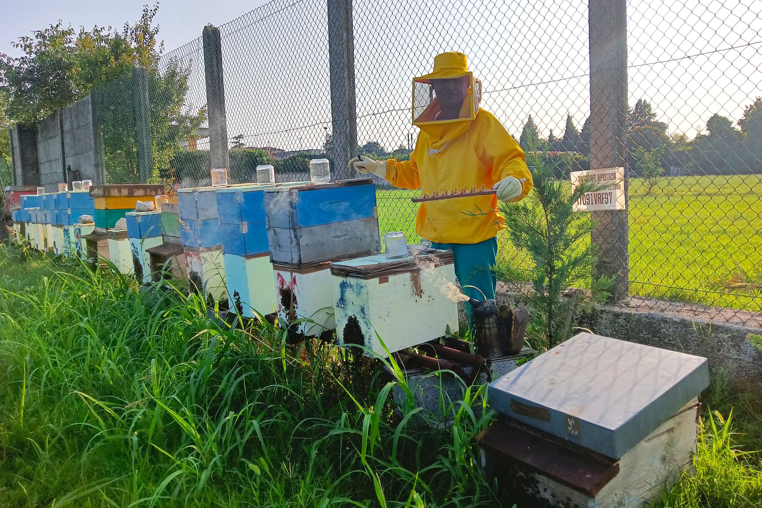 Agricampeggio Oro Verde