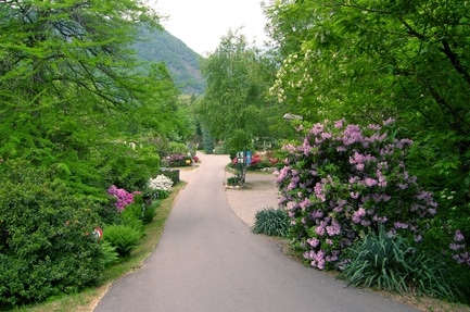 Camping Valle Romantica