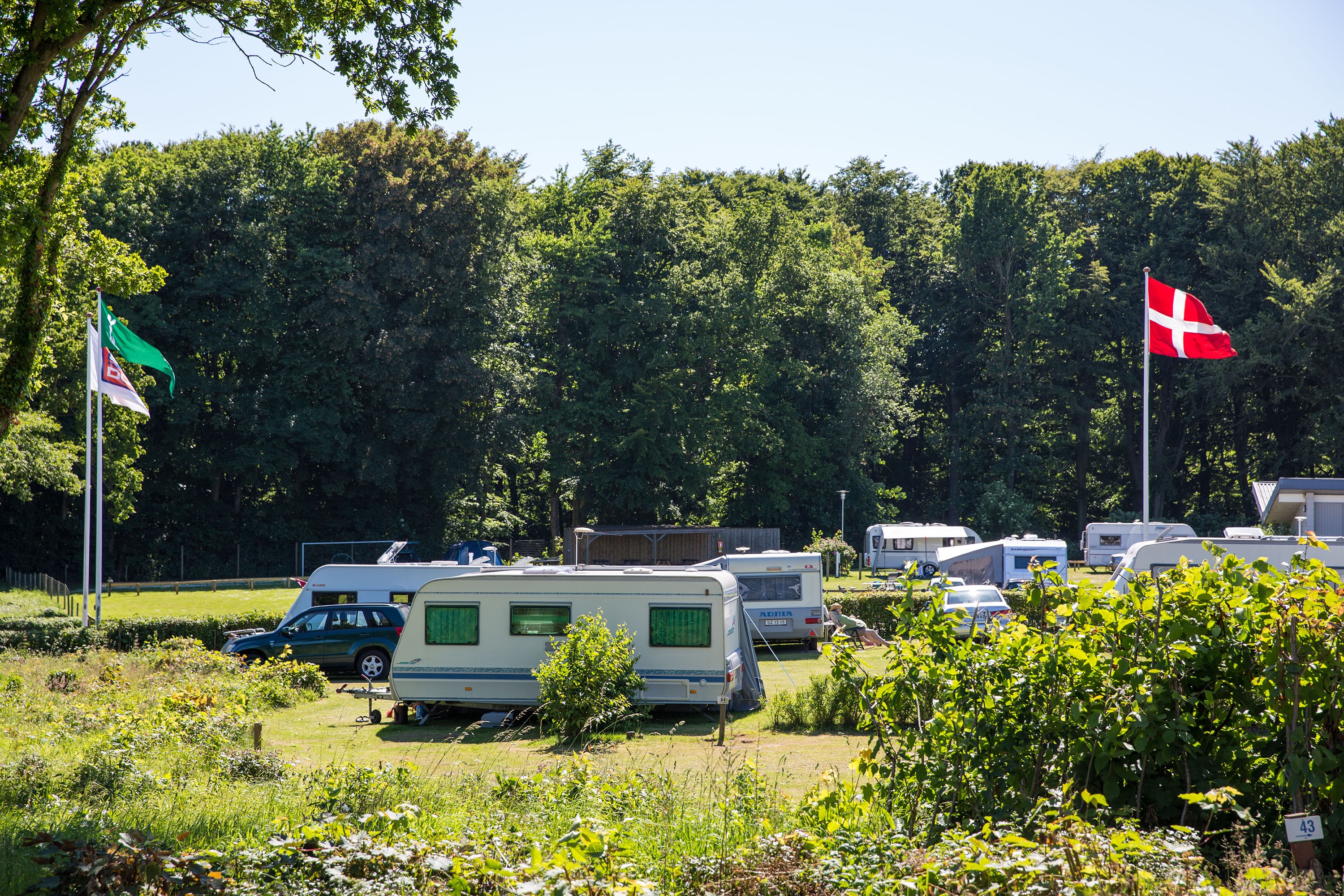 DCU-Camping Kollund