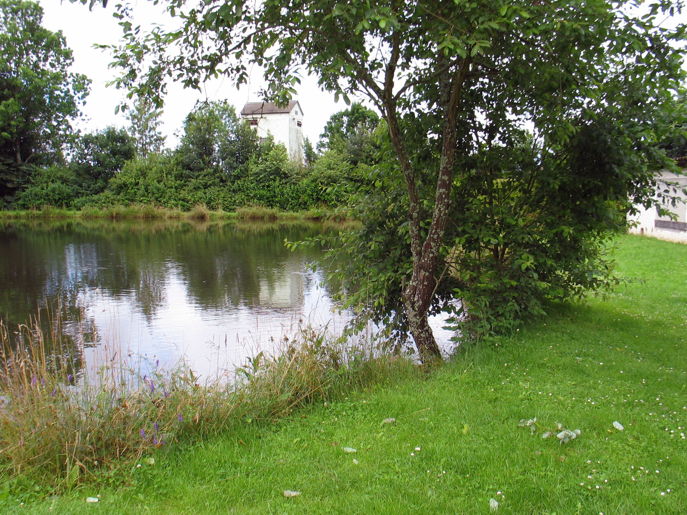 Campingpark Waldwiesen