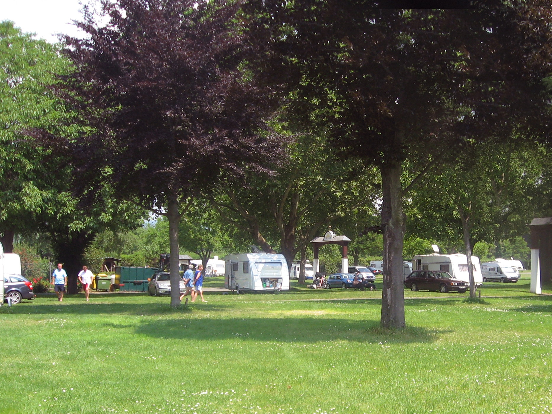 Campingplatz am Rhein