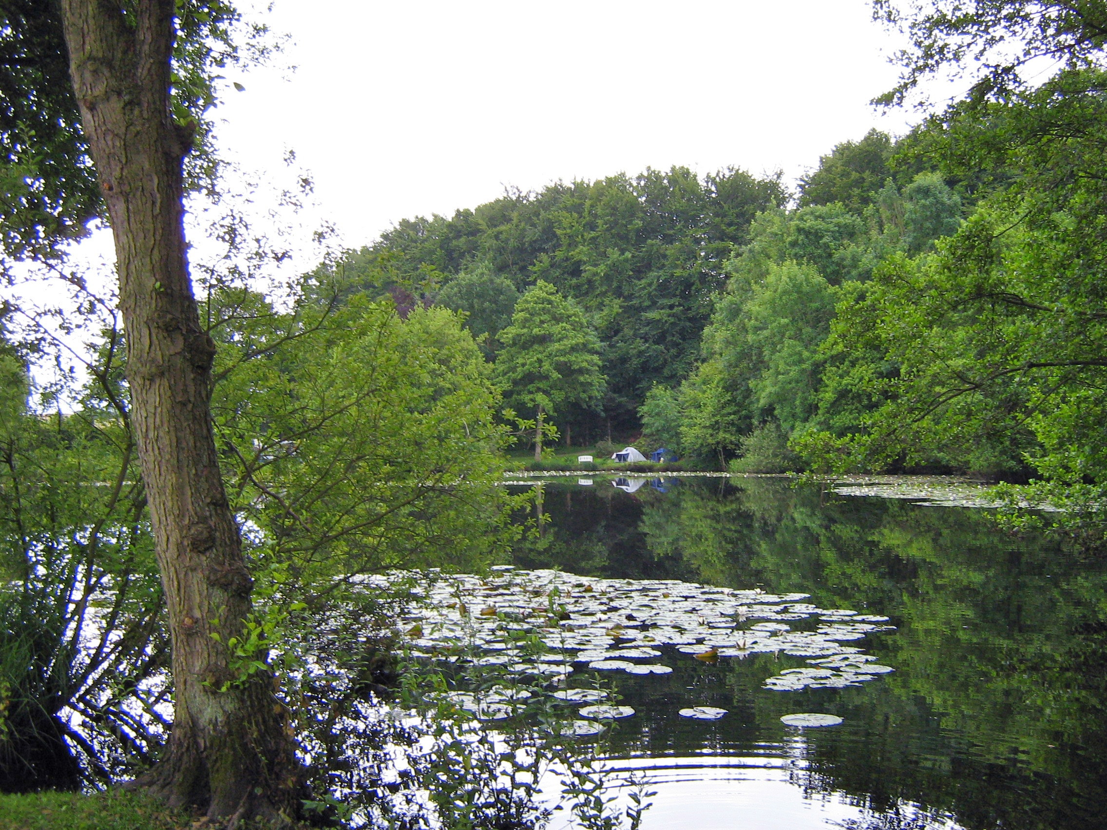Camping Blommenslyst