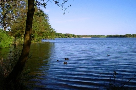 Seecamping Weißer Brunnen