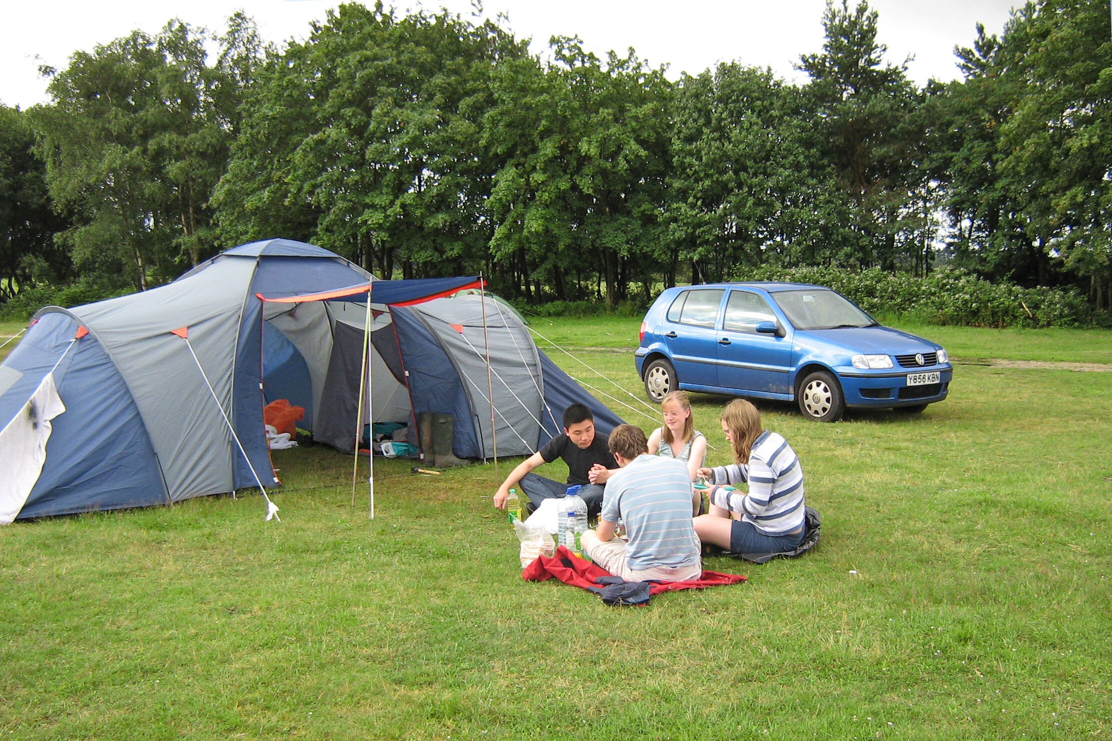 Holmsley Camping in the Forest