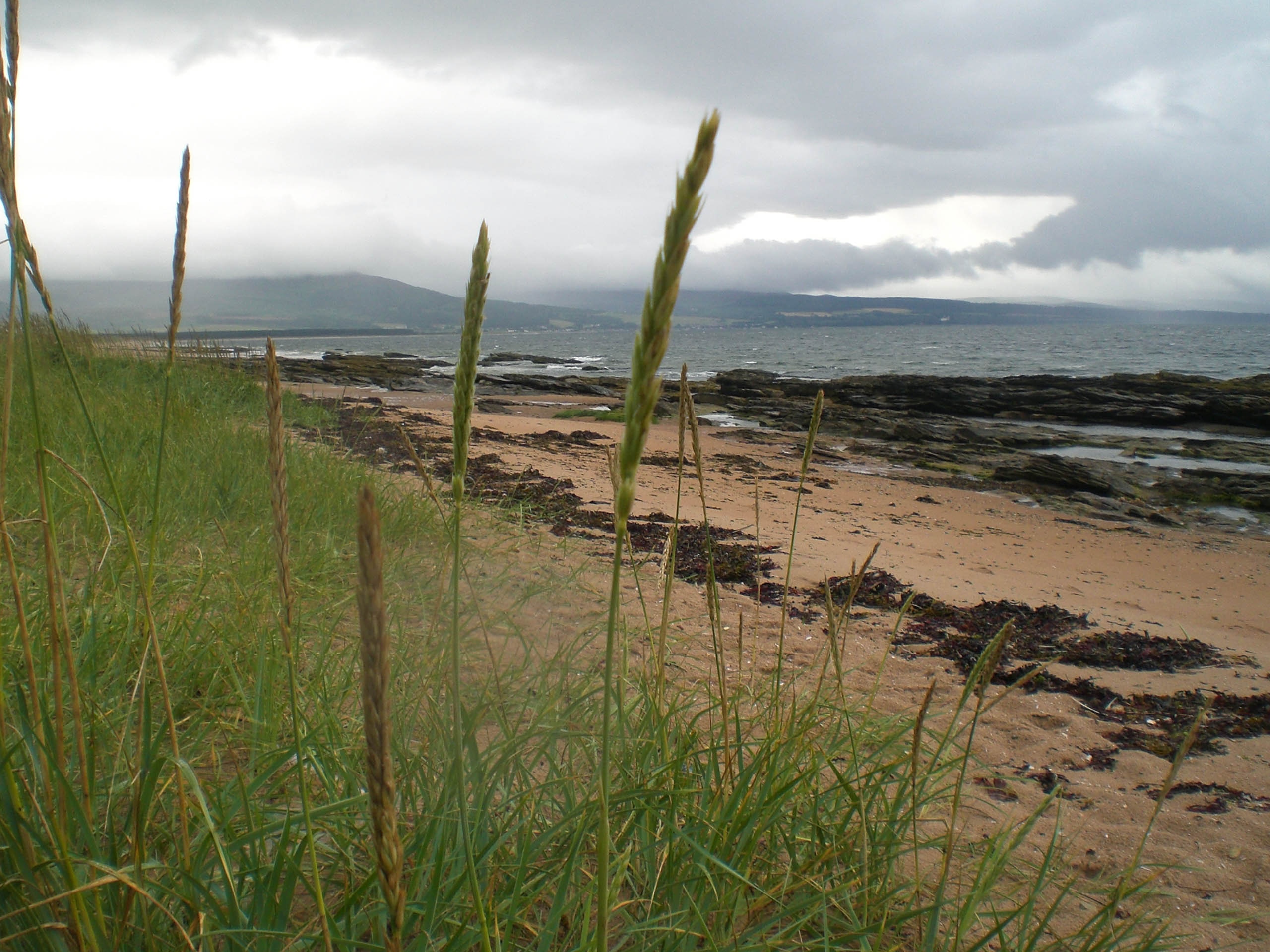 Camping Grannie's Heilan' Hame