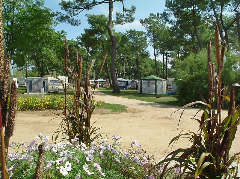 Camping La Maltournée