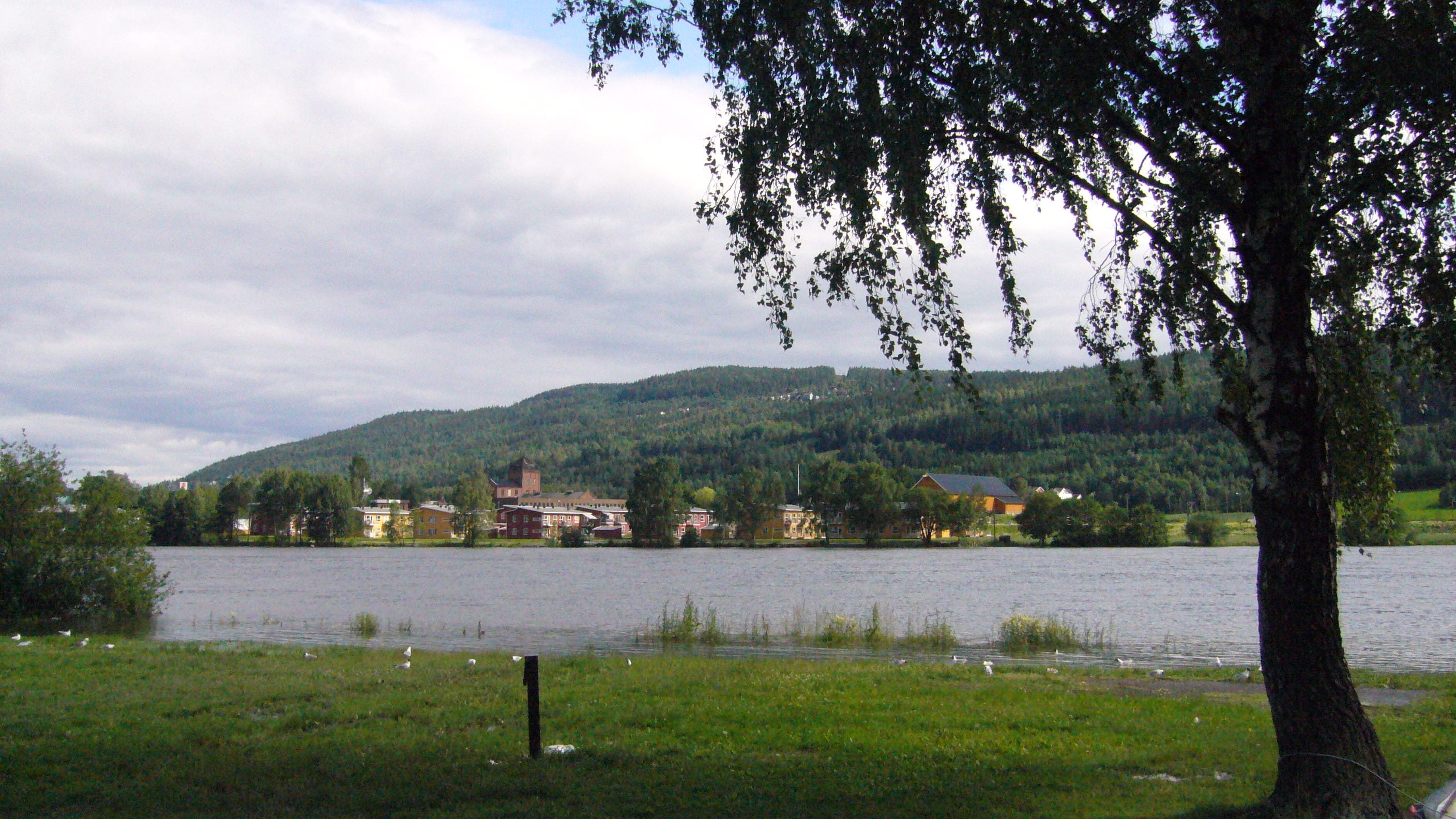 Drammen Camping