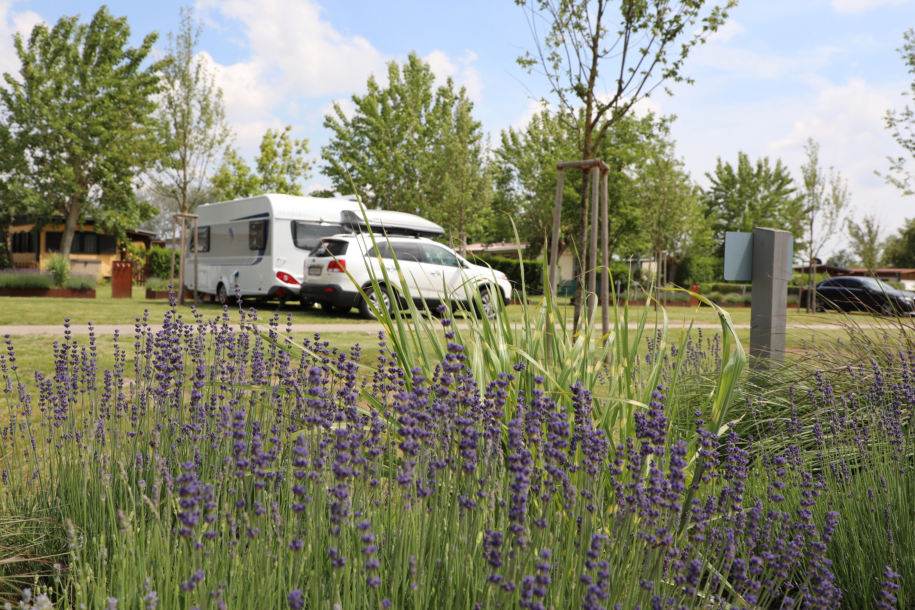 Campingplatz Storchencamp Rust