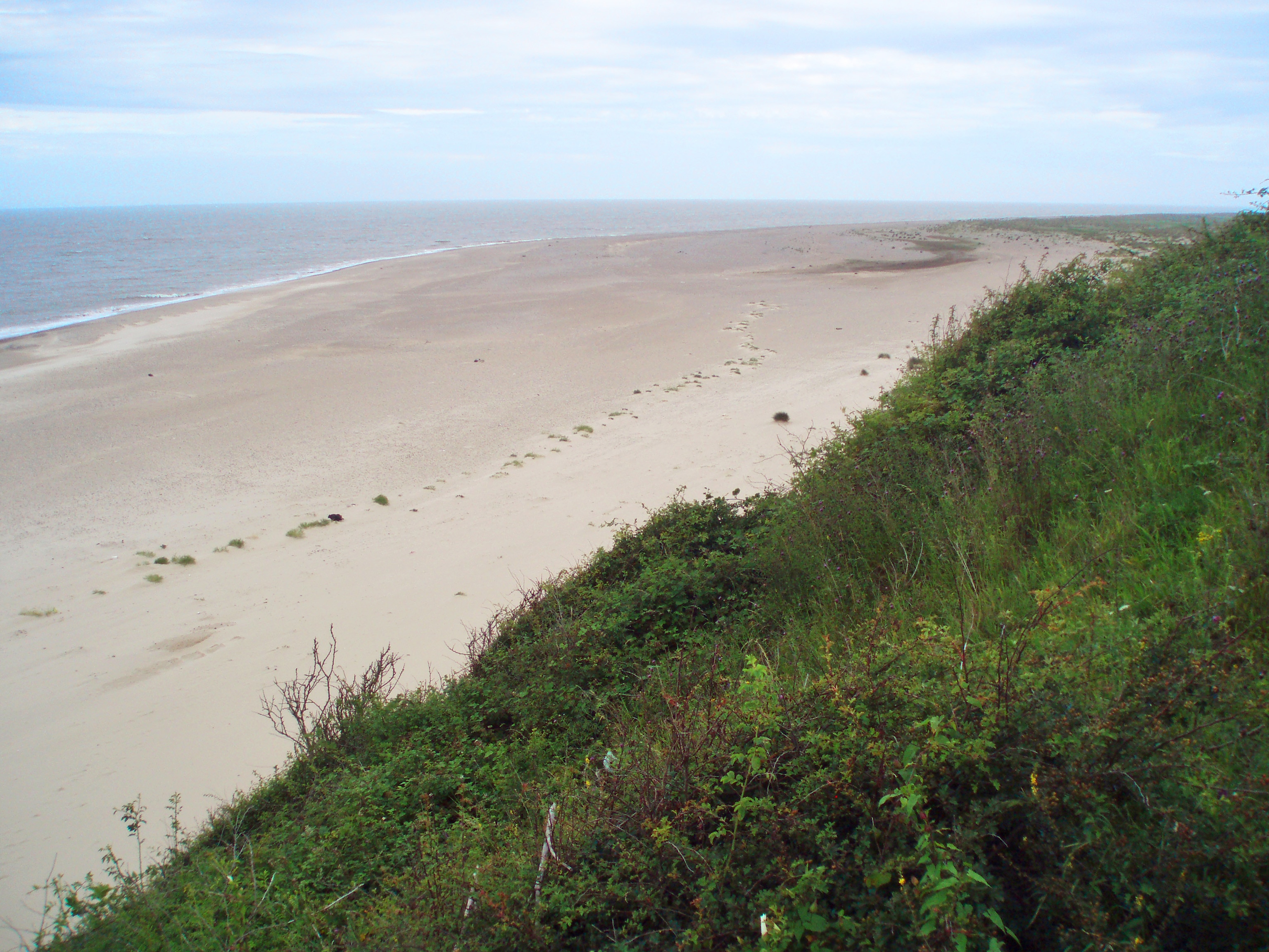 Heathland Beach Caravan Park Ltd