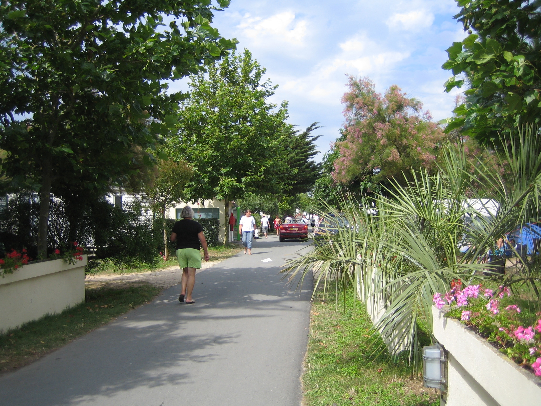 Camping Le Cormoran