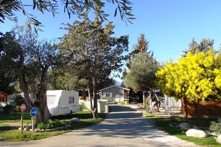 Camping Les Oliviers