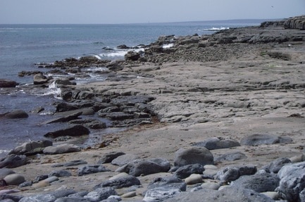 Nagle's Camping & Caravan Park