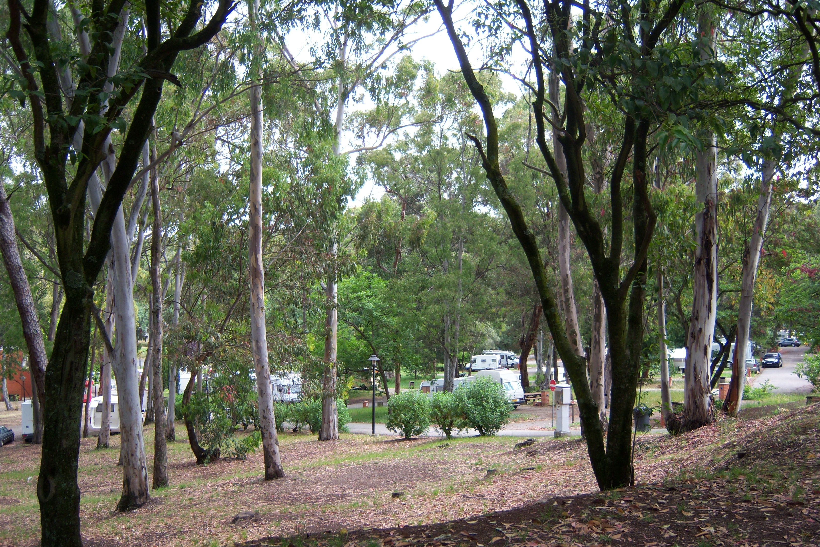 Lisboa Camping & Bungalows