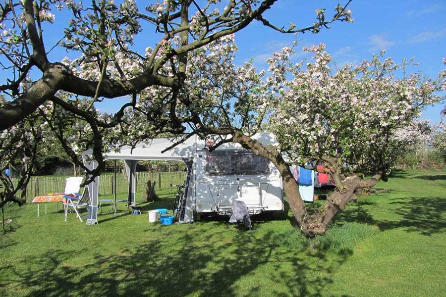 Camping In het Fruit