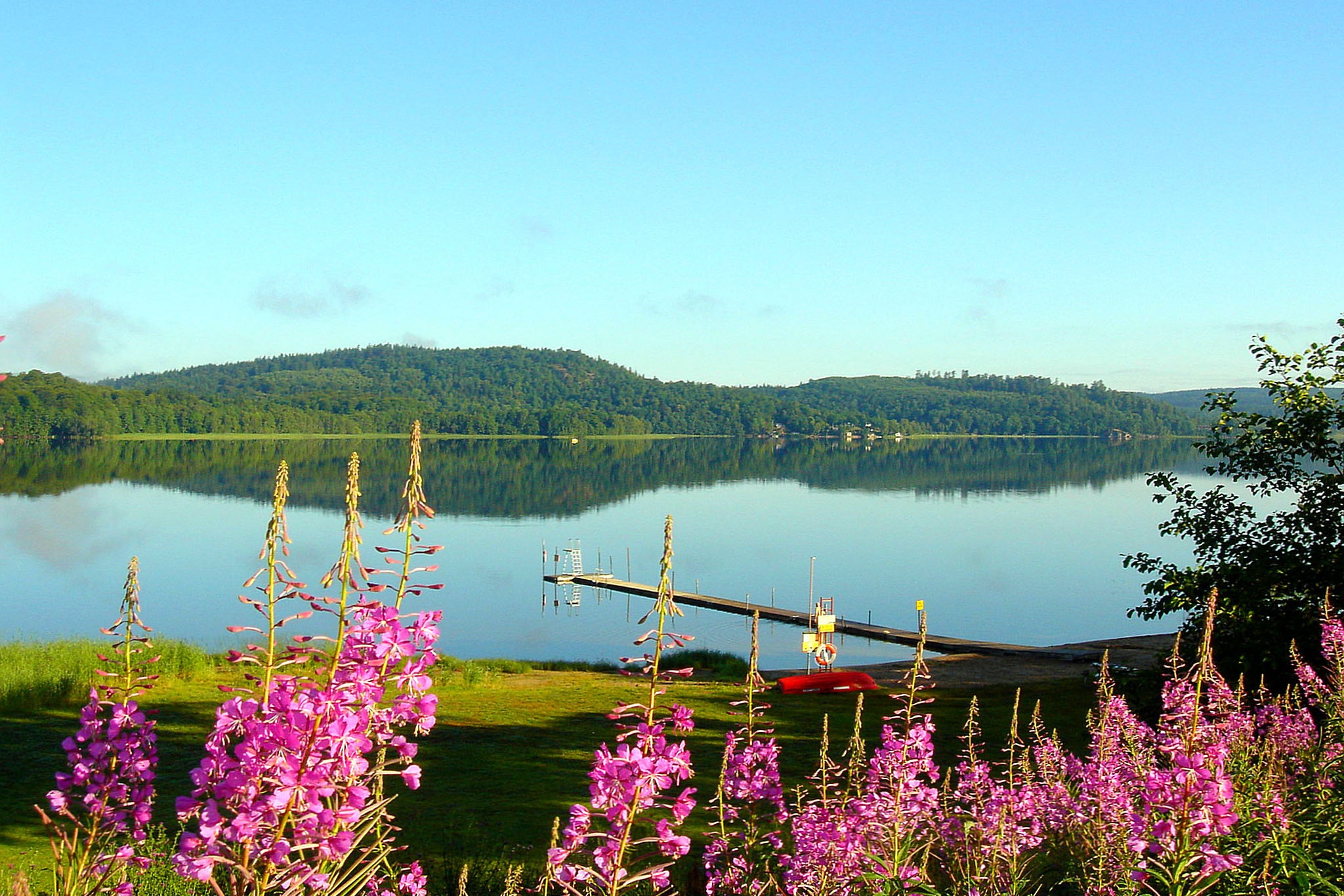 Skotteksgården Camping & Stugby