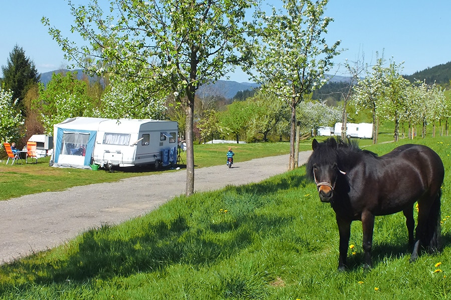 Camping Kirnermartes Hof