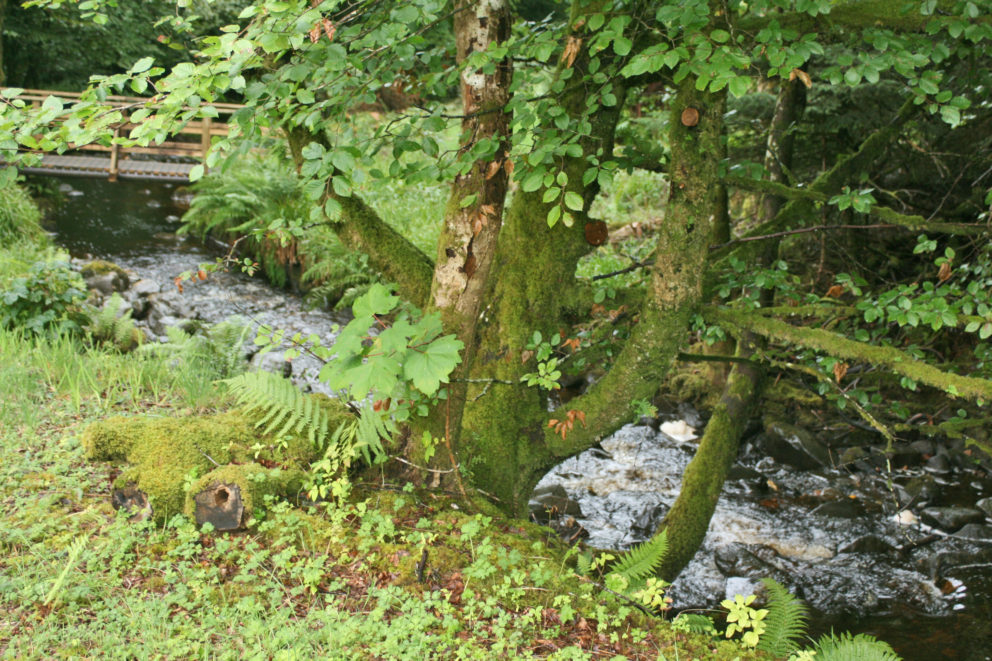 Glendaruel Car. & Camping Park