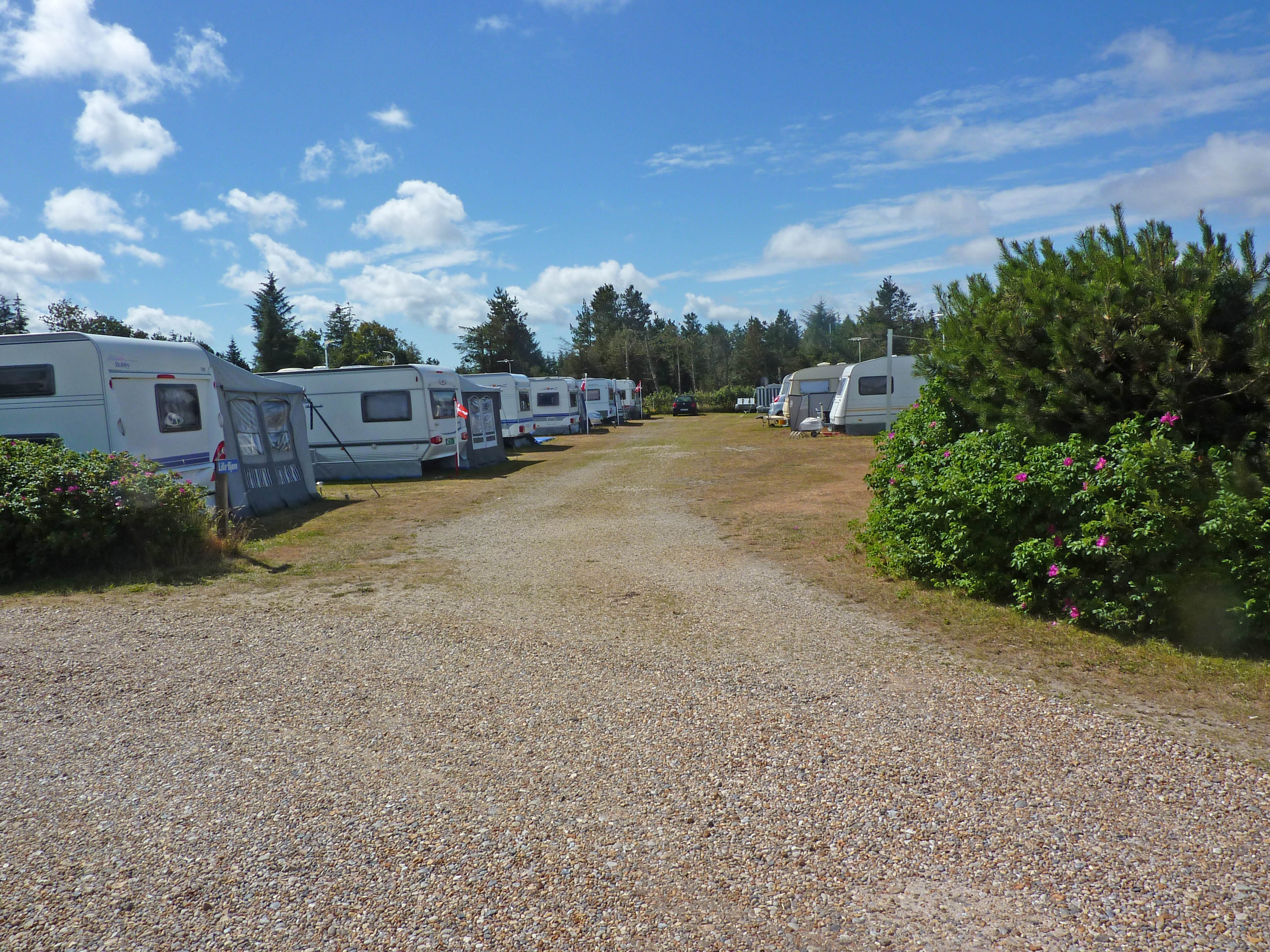 Stjerne Camping ApS