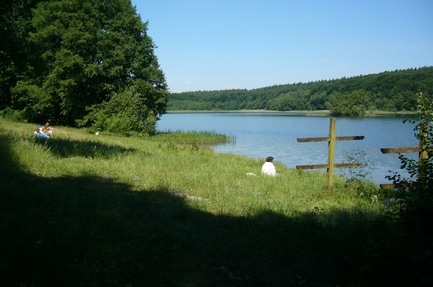 Camping Am Forsthaus Rottstiel