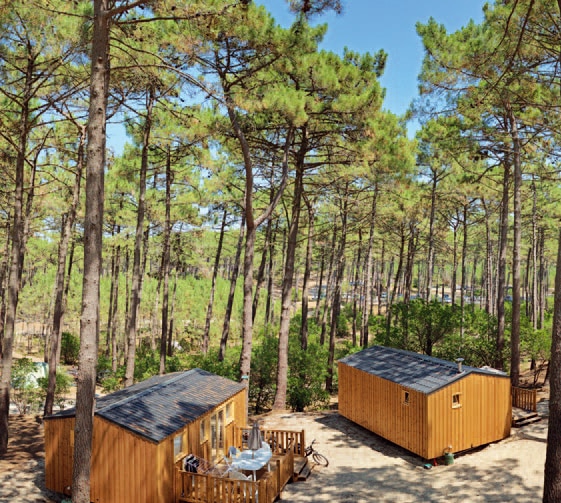 Camping de la Dune Bleue