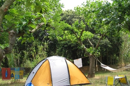 Camping l'Île d'Or