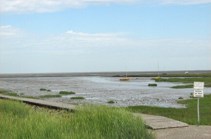 Außerdeich Campingplatz Cappel-Neufeld