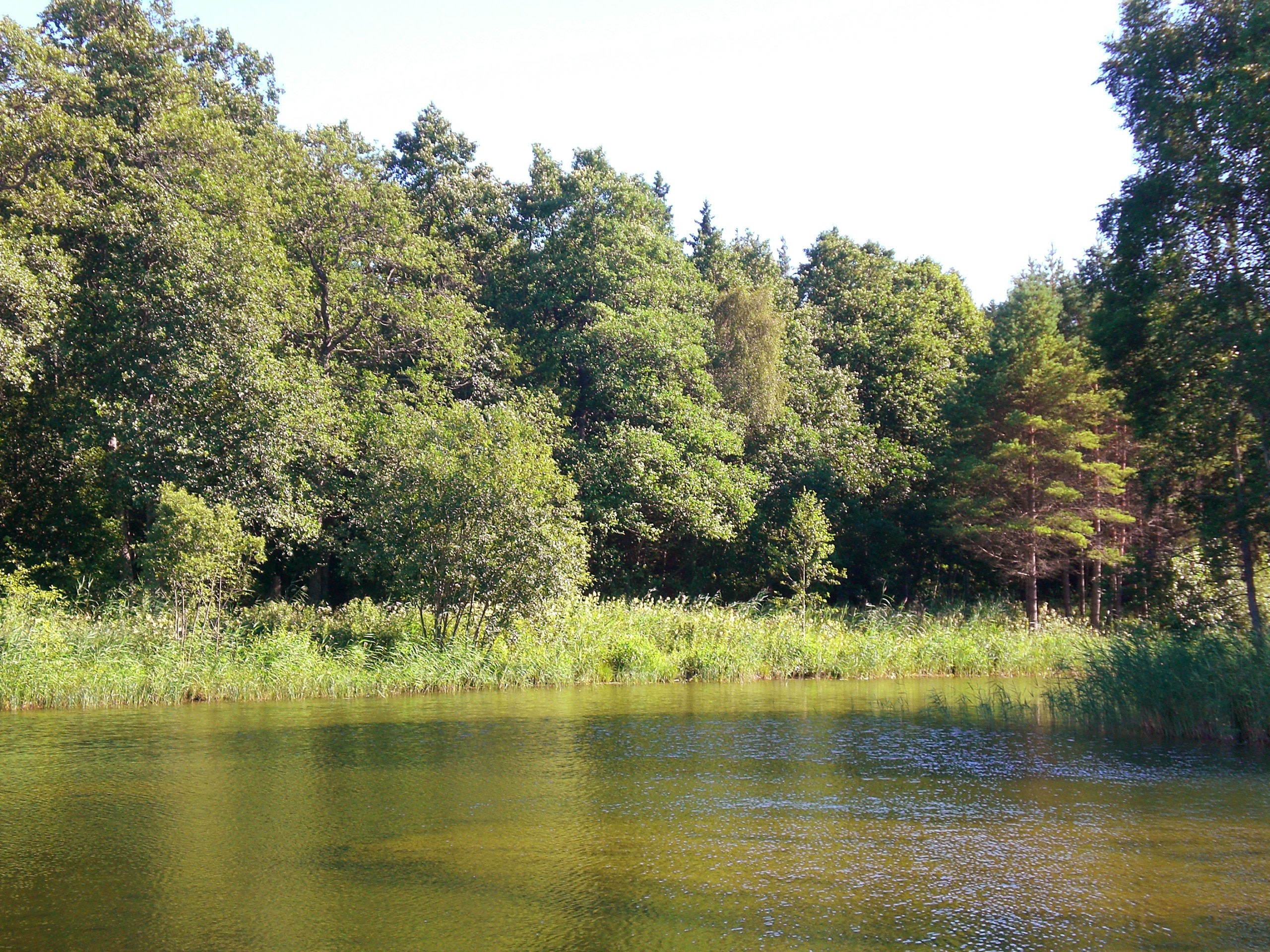 Camping Pidula Puhkeküla