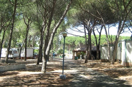 Cammello Grigio Camping