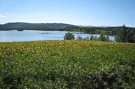 Sportcamping Âkersjön
