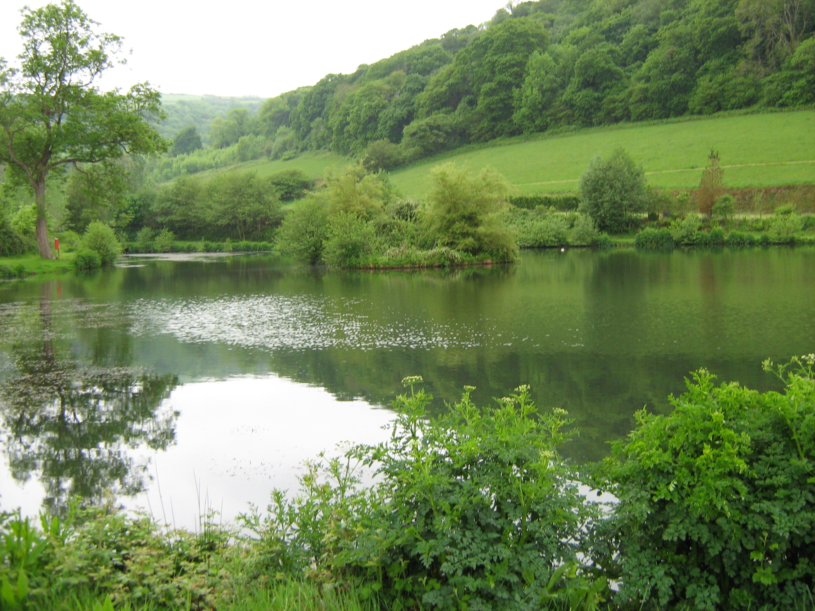 Newberry Valley Park