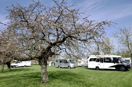 Camping De Bonenkamp