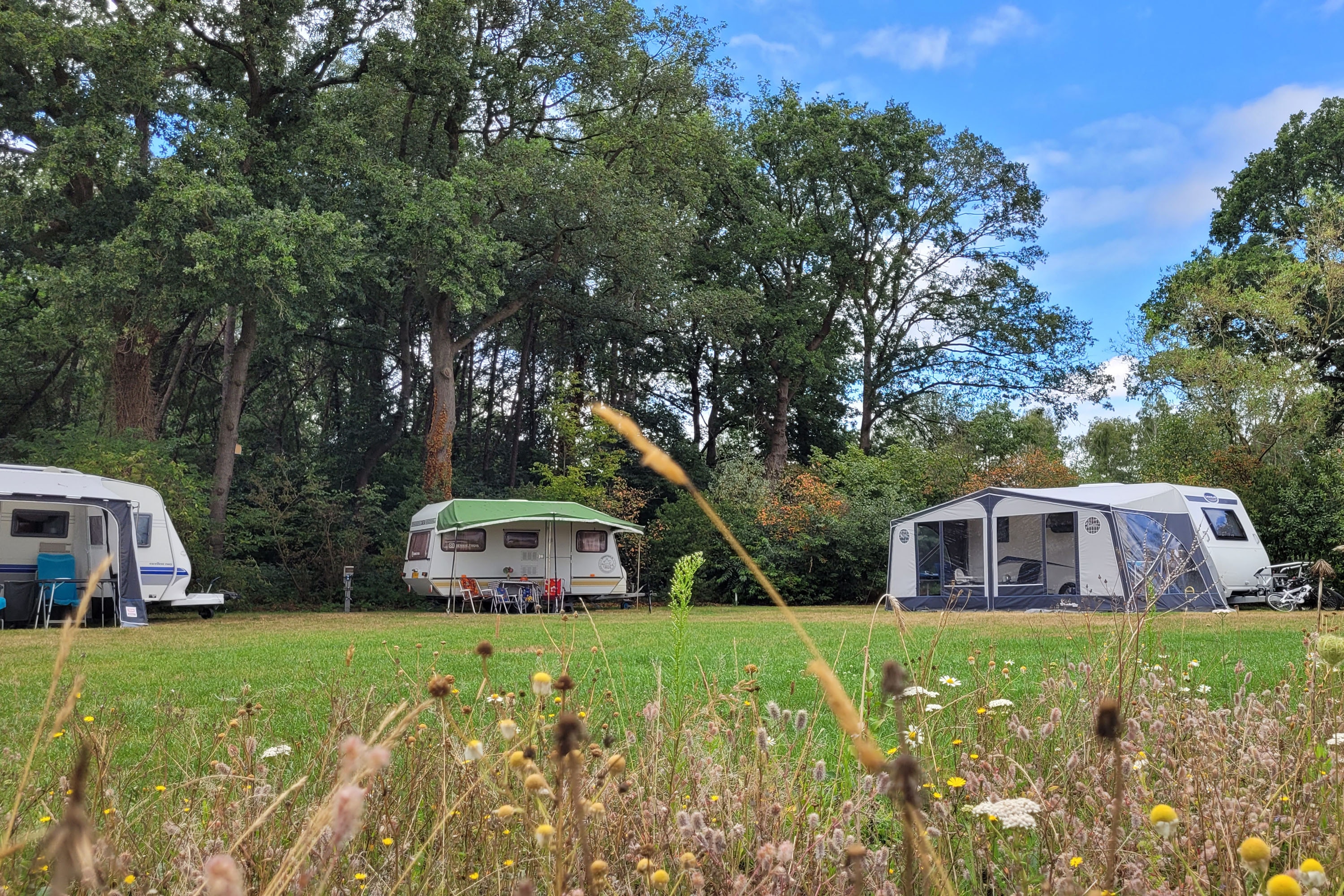 Camping Schoneveld