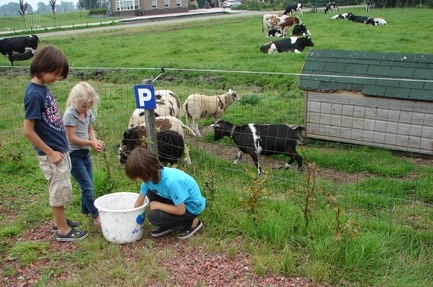 Boerencamping Buitenlust