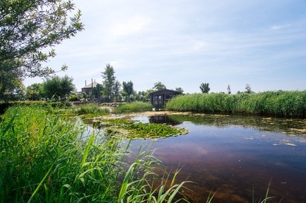 Polderflora Camping & Chalets