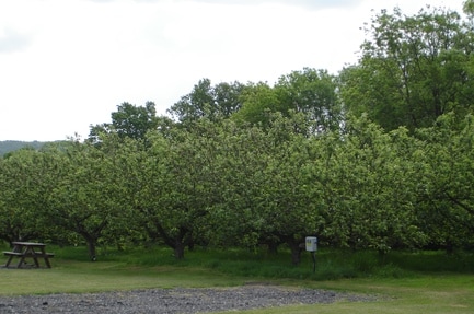 Apple Acres Car. & Camp. Farm