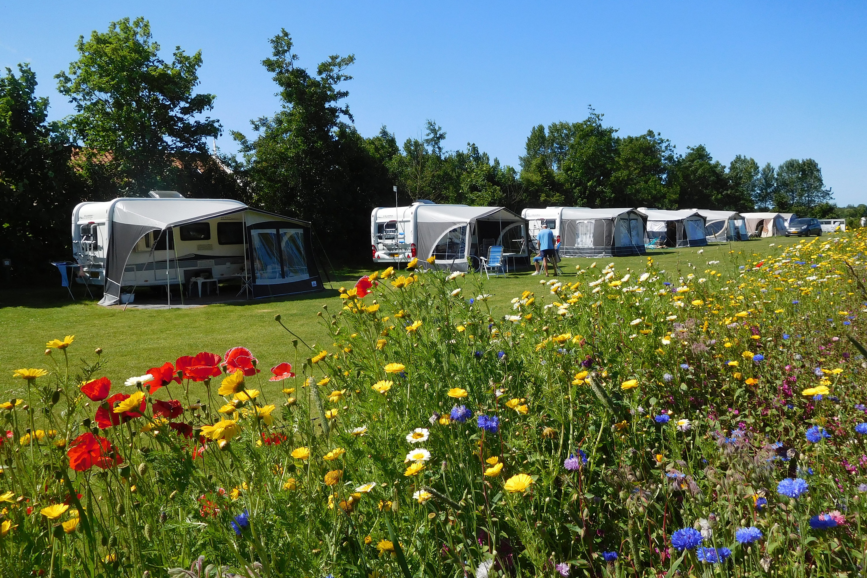 Camping De Westert