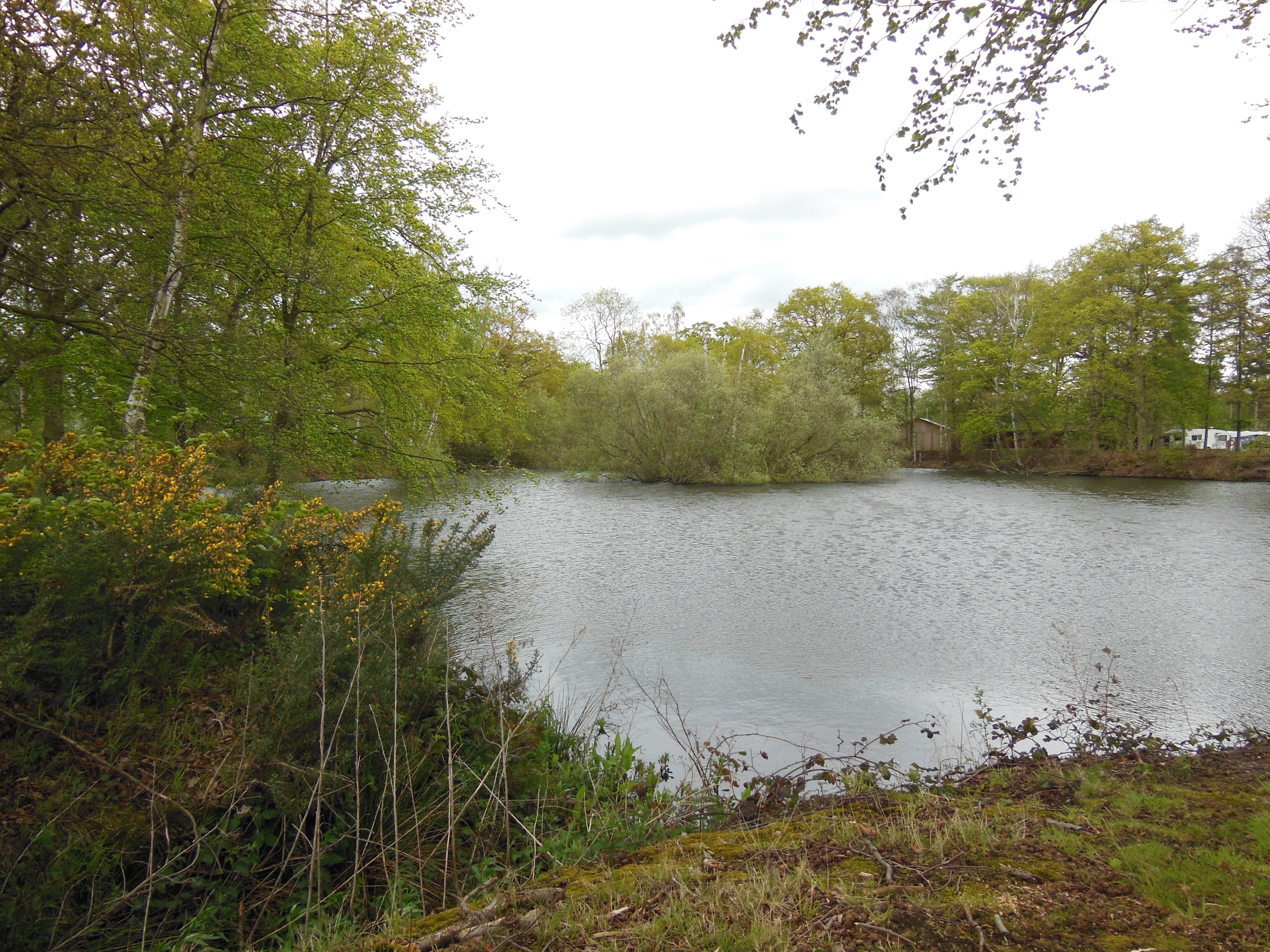 Woodhall Country Park