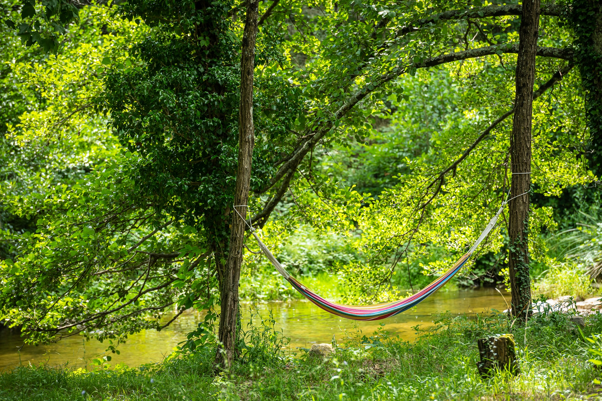 Village Nature Zen
