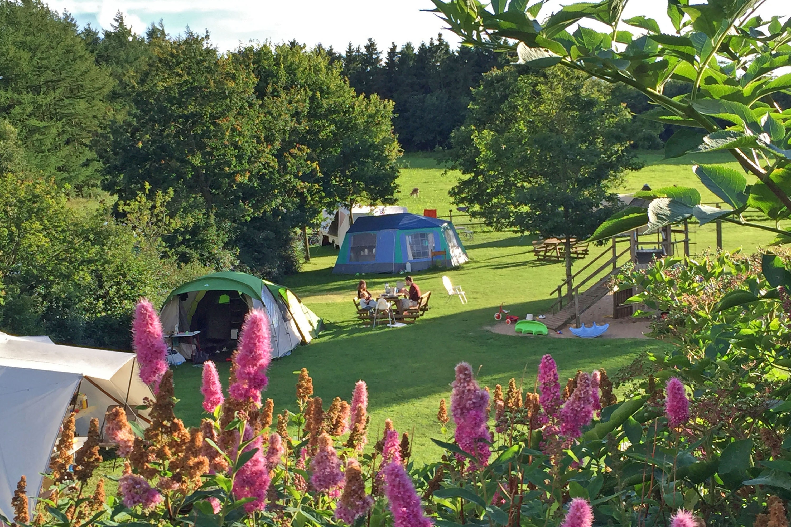 Camping Gyvelborg