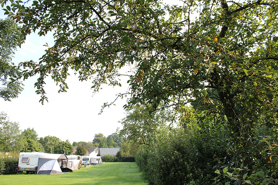 camping De Betuwe Hoeve