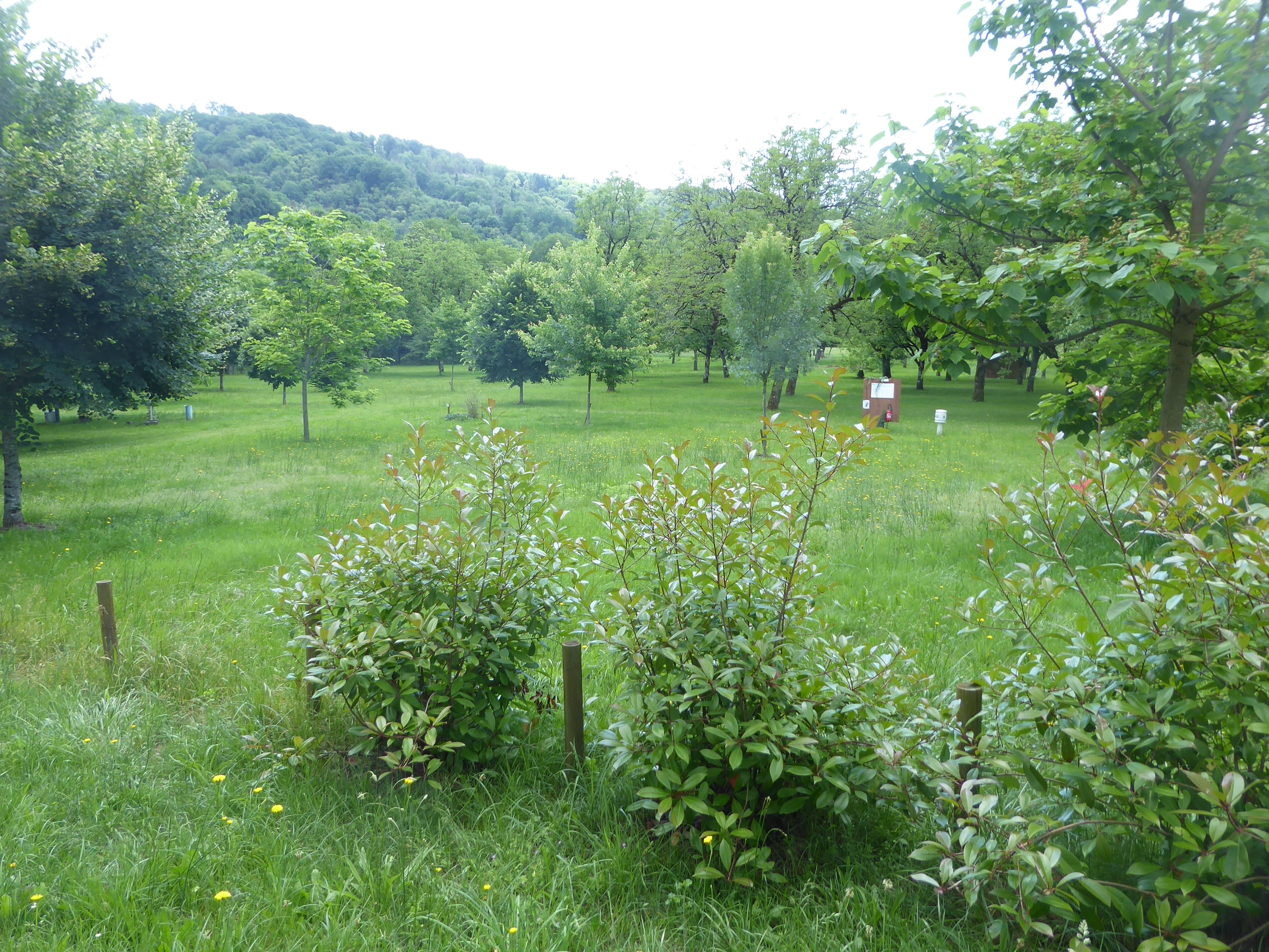 Camping La Berge Ombragée