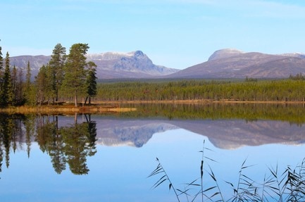 Valsjöbyns Jakt & Fiske camp