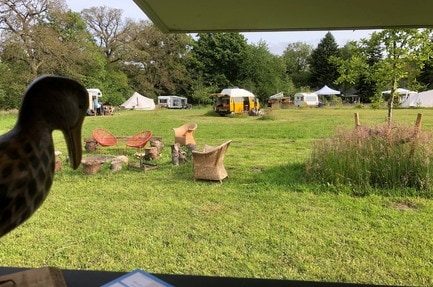 Camping De vreemde eend
