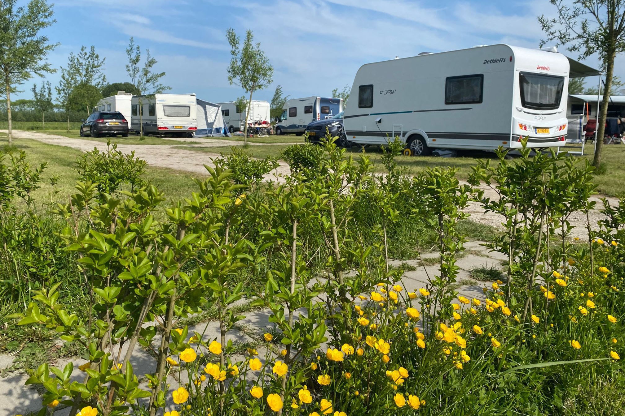 Camping De Leuve Hoeve