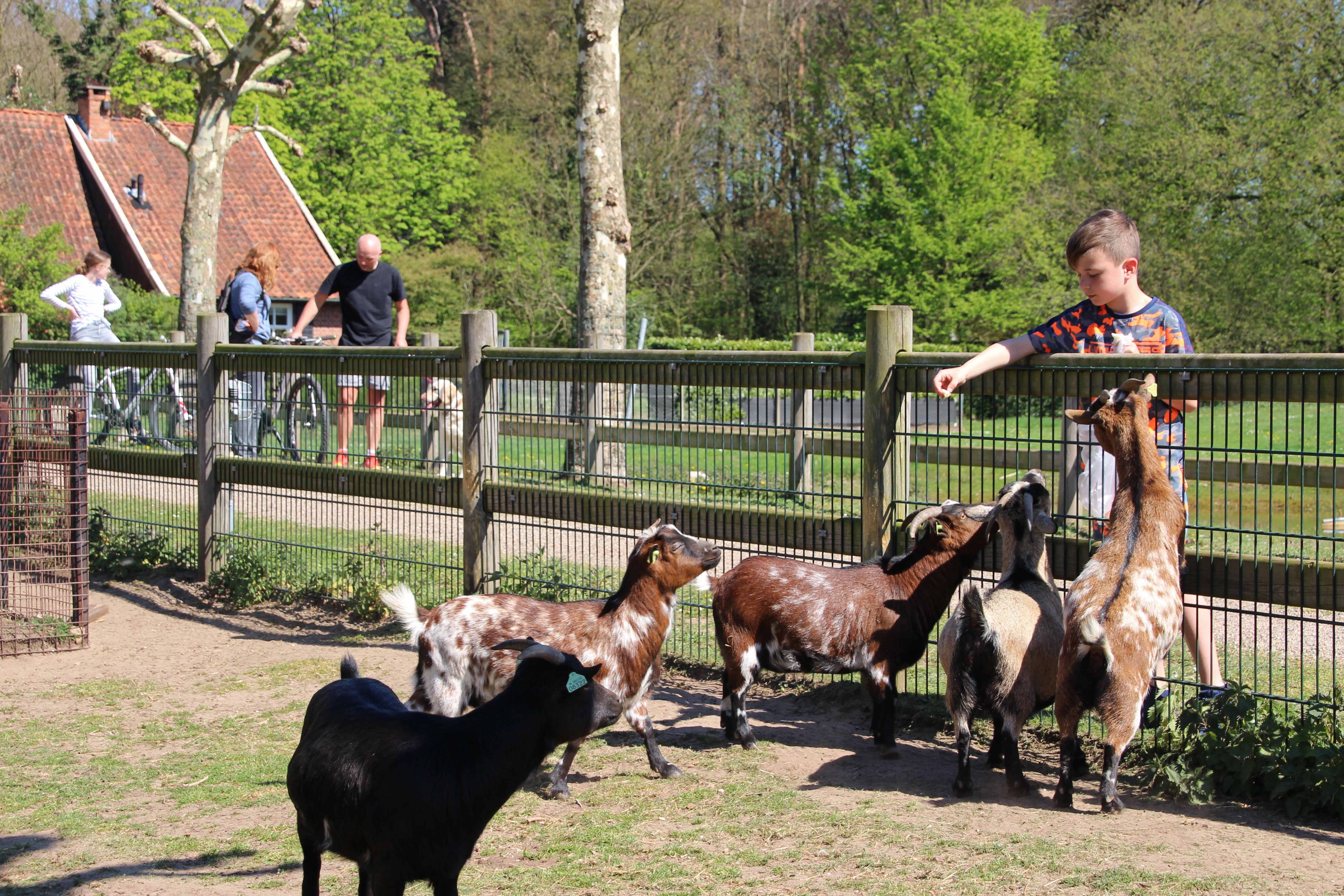 Camping Het Winkel